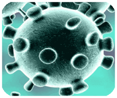 综合体育app官方入口下载截图1
